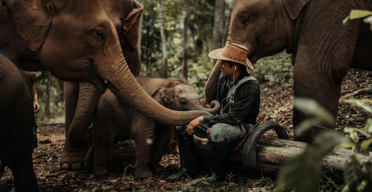 A beautiful photo.