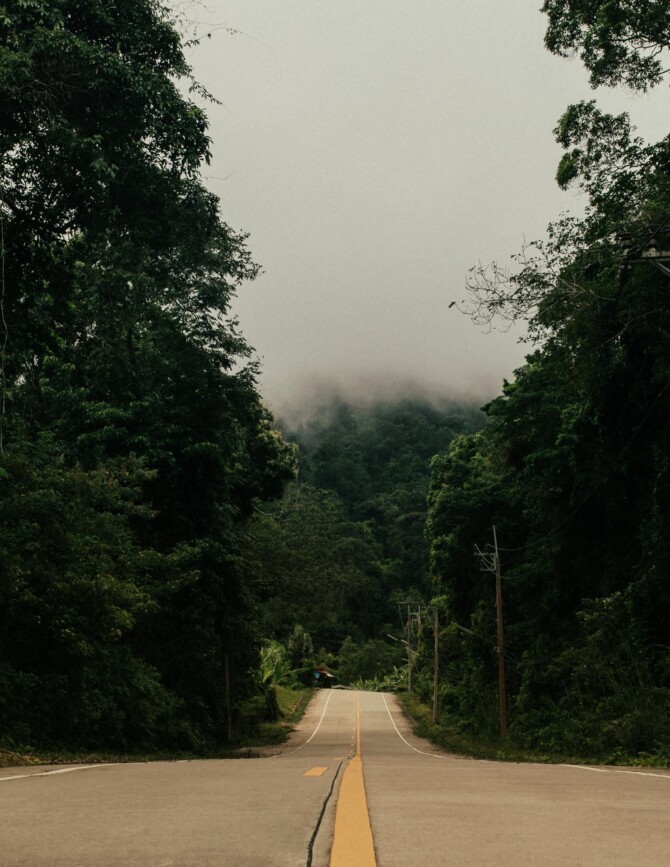 I don't like fog.